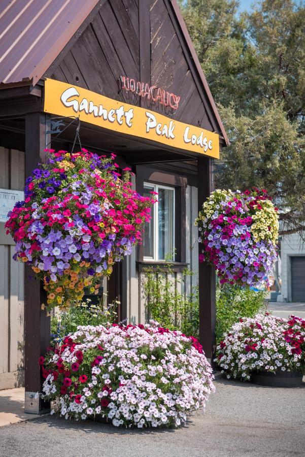 Gannett Peak Lodge Pinedale Eksteriør billede